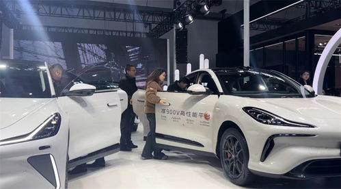 烏魯木齊市米東區9家汽車銷售企業進入市社會消費品零售總額50強